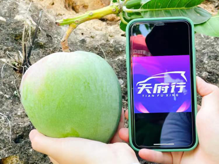 �����ƶ��辶����������̨��